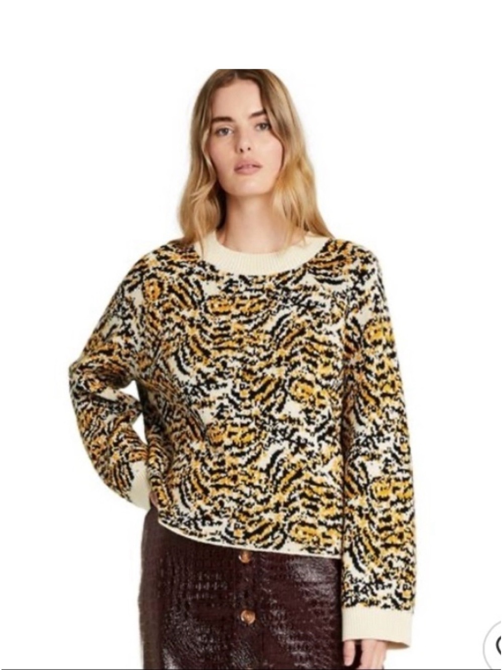 Rachel Comey Leopard-Print Crewneck Sweater in Cream, Yellow, Black